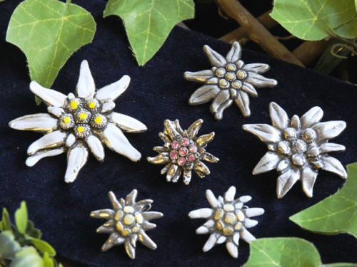 Brooches and Jewelry